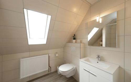 a bathroom with a toilet and a sink and a mirror at Ferienwohnung Barsch in Rade
