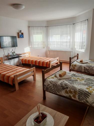 a living room with three beds and a television at Apartmani Tea i Toni in Gradište