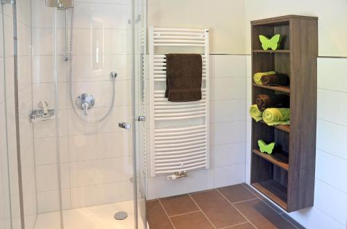 a bathroom with a shower and a walk in shower at Zipperhof in Lahr