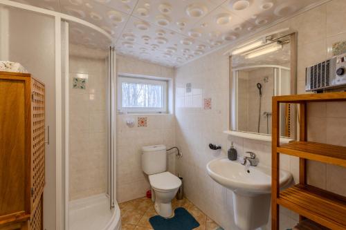 a bathroom with a toilet and a shower and a sink at Penzion Tesák-ČERŇAVA in Chvalčov