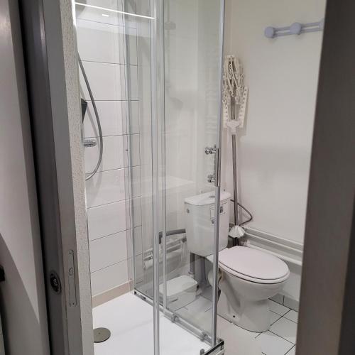 un bagno con WC e doccia in vetro di Studio Tripiers a Colmar
