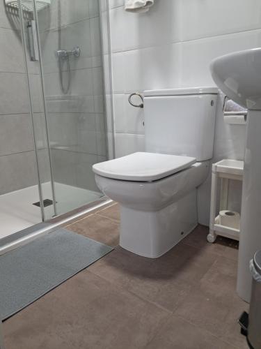 a bathroom with a toilet and a shower and a sink at Casa Elena in Cangas de Onís