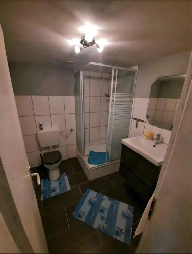 a bathroom with a toilet and a sink and a mirror at Abendsonne in Wurster Nordseeküste