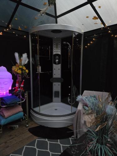 un bagno con doccia in una stanza di l'Arche Enchantée a Saint-Nicolas-de-la-Grave