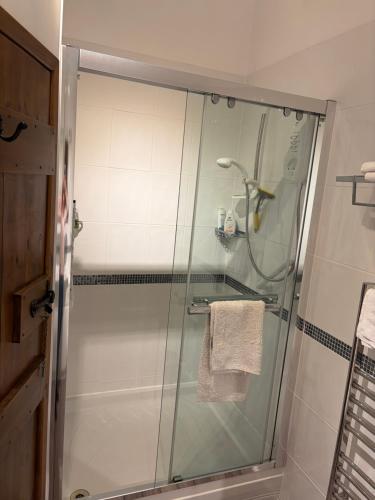 a shower with a glass door in a bathroom at Ystrad Fach Farm in Llangendeirne