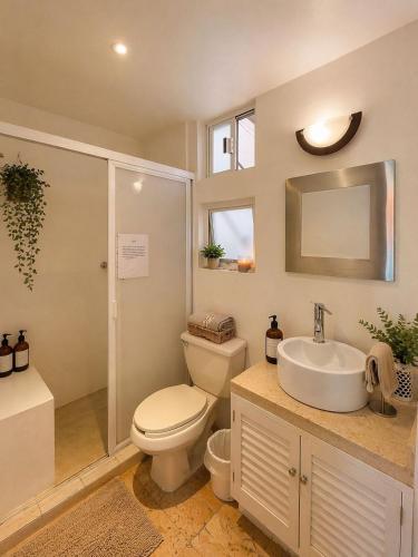 a bathroom with a toilet and a sink and a shower at Loft Maria in Tlazcalancingo