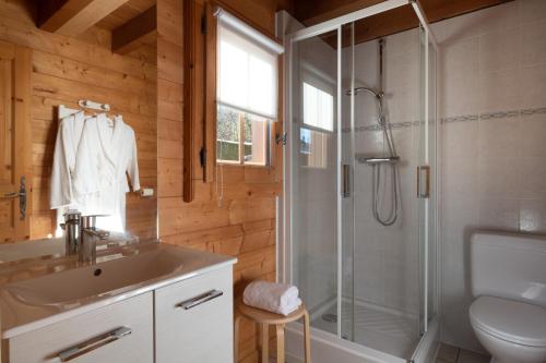 a bathroom with a shower and a sink at Chalet mitoyen 4 personnes in Alex