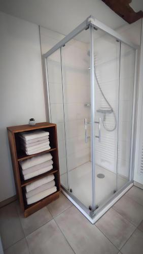 a shower with a glass enclosure in a bathroom at Ferienwohnung La Maison Palatinate in Kapsweyer