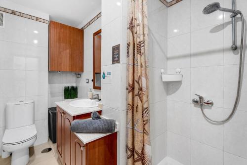 a bathroom with a shower and a toilet and a sink at Bajamar en armonía in Bajamar