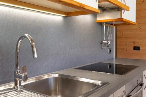 a kitchen with a stainless steel sink and wooden walls at Paracia App Cir in Badia