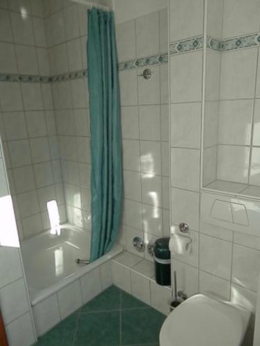 a bathroom with a tub and a toilet and a shower at Heidtschmidhof Abendsonne in Wolgast