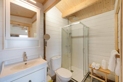 a bathroom with a shower and a toilet and a sink at Villa Dely in Tazacorte