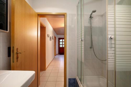 a bathroom with a shower and a walk in shower at Fewo Standfuss in Dausenau