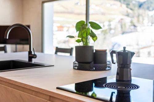 a kitchen counter with a coffee maker and a plant at Lena Dolomites Gartensuite in Villnoss