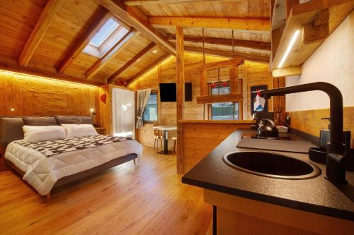 a bedroom with a bed and a sink in a room at Antirouille Casa Vacanze in Aymavilles