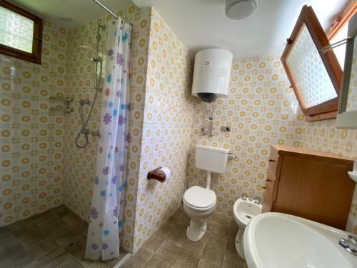 a bathroom with a shower and a toilet and a sink at La Casa di Sissy in Trasquera