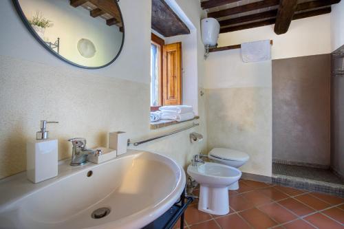 a bathroom with a sink and a toilet and a mirror at Lavanda ad Antico Casale '700 in Umbertide