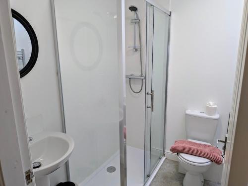 a bathroom with a shower and a toilet and a sink at Salton Lodge Barns in Great Edston