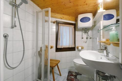 a bathroom with a shower and a toilet and a sink at Petite Maison des Alpes in Morgex