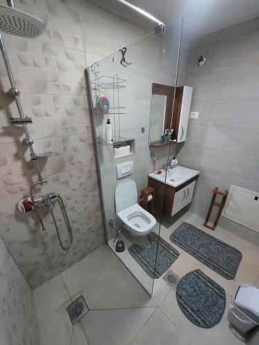 a bathroom with a shower and a toilet and a sink at Villa Freddie Mavrovo - Lakeview House in Mavrovo