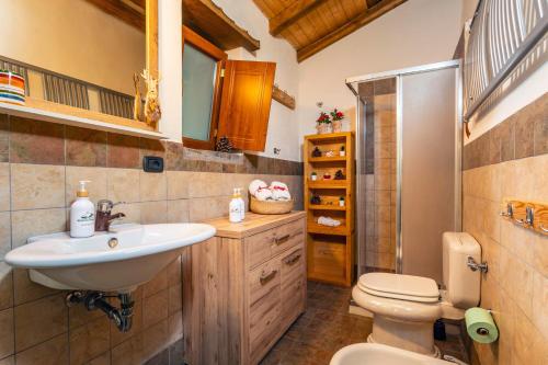 a bathroom with a sink and a toilet at Bosco Magaudo - Casa U Parmento in Linguaglossa