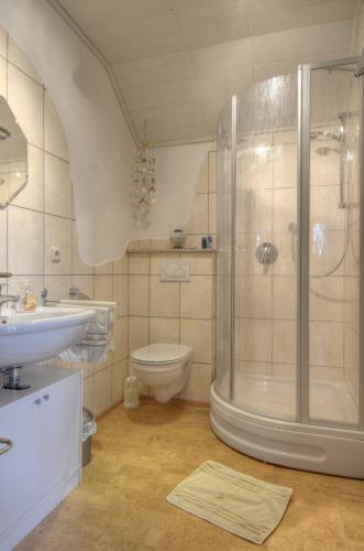 a bathroom with a shower and a toilet and a sink at Ferienwohnung Nationalparkblick in Altenlotheim