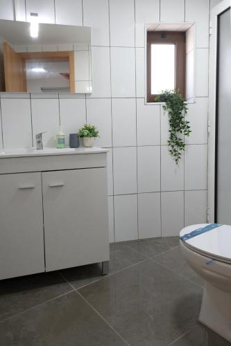 a white bathroom with a sink and a toilet at Casa das Laranjas in Murtosa