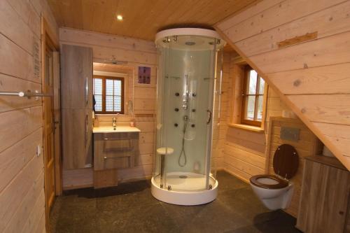 a bathroom with a shower and a toilet and a sink at Houten villa Albert in Den Ham