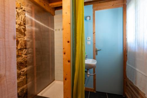 a bathroom with a shower and a sink at La Chastanha in Saint-Symphorien-de-Mahun