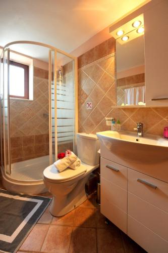 a bathroom with a toilet and a shower and a sink at Villa Casa Bianca Purple Apartment in Gaios