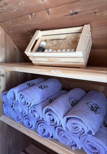 a wooden shelf with rolls of toilet paper on it at Oberhof Apt Panorama in Vallarga