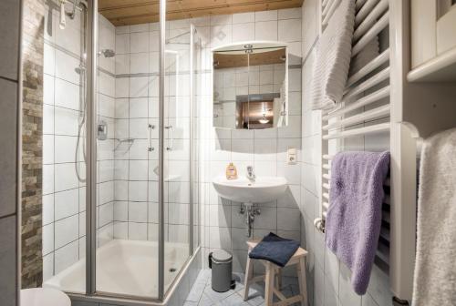 a bathroom with a shower and a sink and a toilet at Ferienwohnung Zugspitze in Grainau