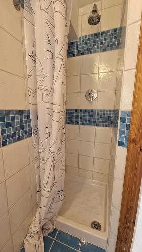 a shower with a shower curtain in a bathroom at Appartamenti Con Vista Mozzafiato in Praia a Mare