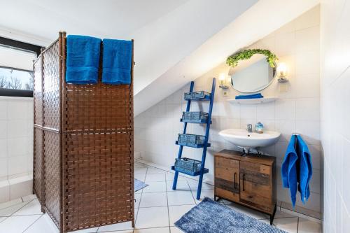 a bathroom with a shower and a sink at Ferienhof Littmann in Friedrich-Wilhelm-Lübke-Koog