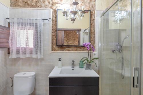 a bathroom with a sink and a toilet and a mirror at Loft Rural Orenetes ideal parejas in Sant Jaume dels Domenys