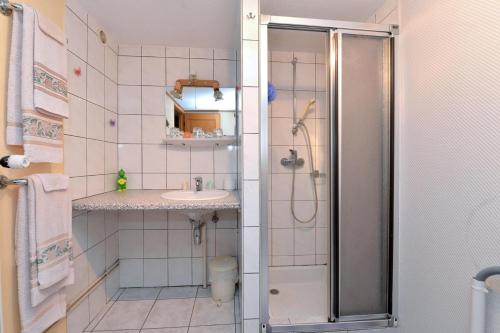 a bathroom with a shower and a sink at Les Hirondelles in Orbey