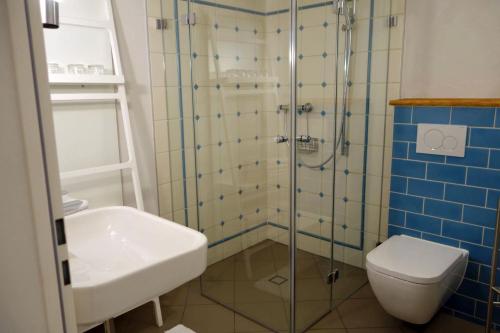 a bathroom with a shower and a toilet and a sink at Ferienwohnung Teich 11, 126qm in Gütenbach