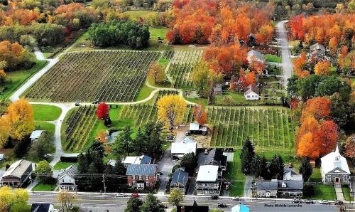 an aerial view of a small town with fall foliage at villa du vignoble in Dunham
