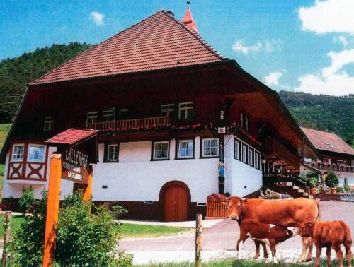 a group of cows standing in front of a house at Ferienwohnung Faller in Elzach