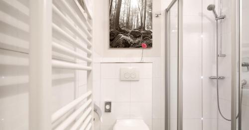a white bathroom with a shower and a toilet at Hotel Restaurant Paradeismühle in Klingenberg am Main