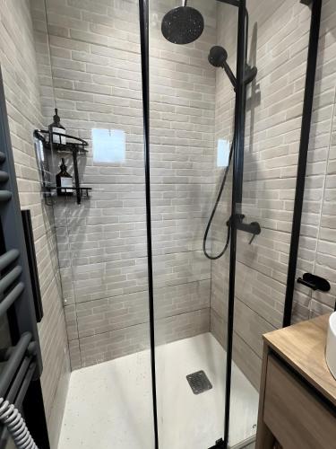 a shower with a glass door in a bathroom at Amets in Yesa