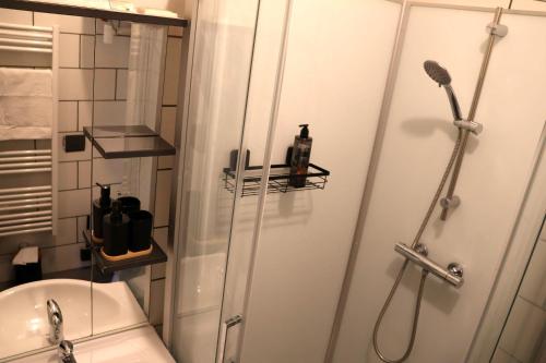 a bathroom with a shower and a toilet and a sink at La Parenthèse Saint-Etienne- Nevers in Nevers