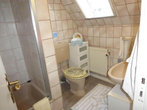 a bathroom with a toilet and a shower and a sink at Erholung-pur in Hennstedt