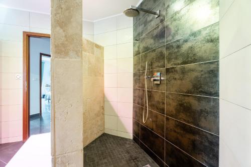 a shower in a bathroom with a glass door at La Perle Bleue proche Strasbourg in Hoerdt
