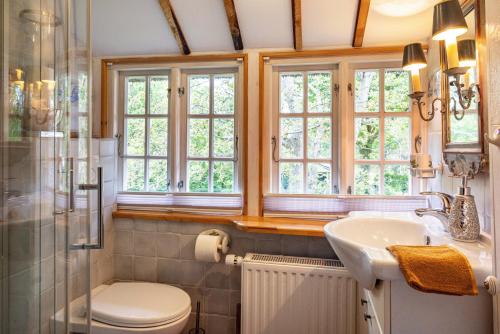 a bathroom with a toilet and a sink and windows at Reetdachhaus Bischoff in Kuden