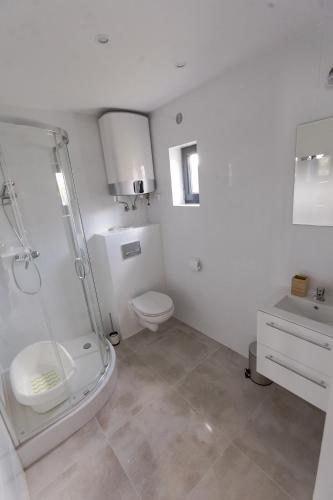 a bathroom with a shower and a toilet and a sink at Domki u Bazyla in Sarbinowo