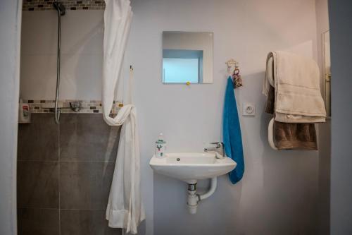 a bathroom with a sink and a shower at Chambre Armand in Louvigny