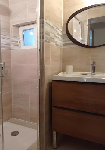 a bathroom with a shower and a sink and a mirror at Maison Typique De Montagne in Ercé