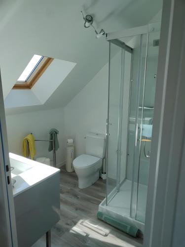 a bathroom with a toilet and a glass shower at Chambre D'hôtes Lesseps in Vendôme