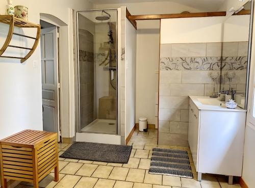 a bathroom with a shower and a sink at Le Chalêt La Neverdiere in Ygrande